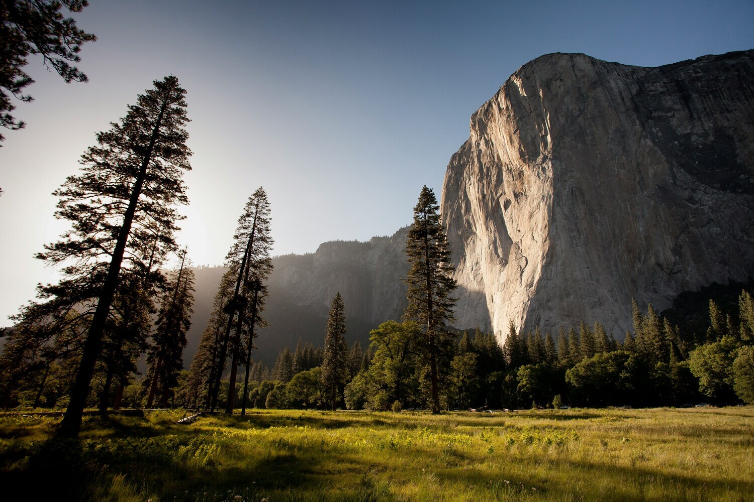 adam-kool-ndN00KmbJ1c-unsplash-1