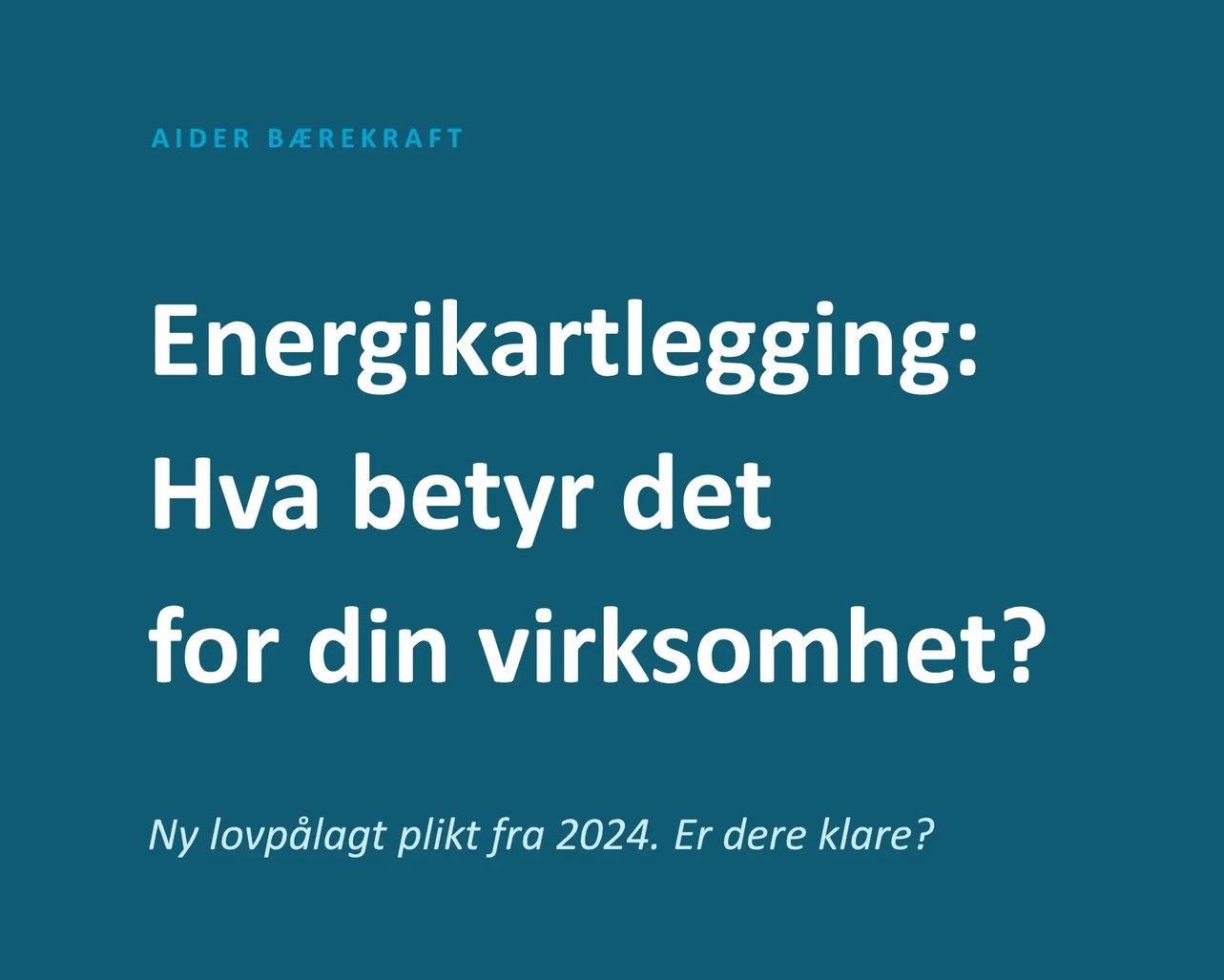 energikartlegging lead magnet mini