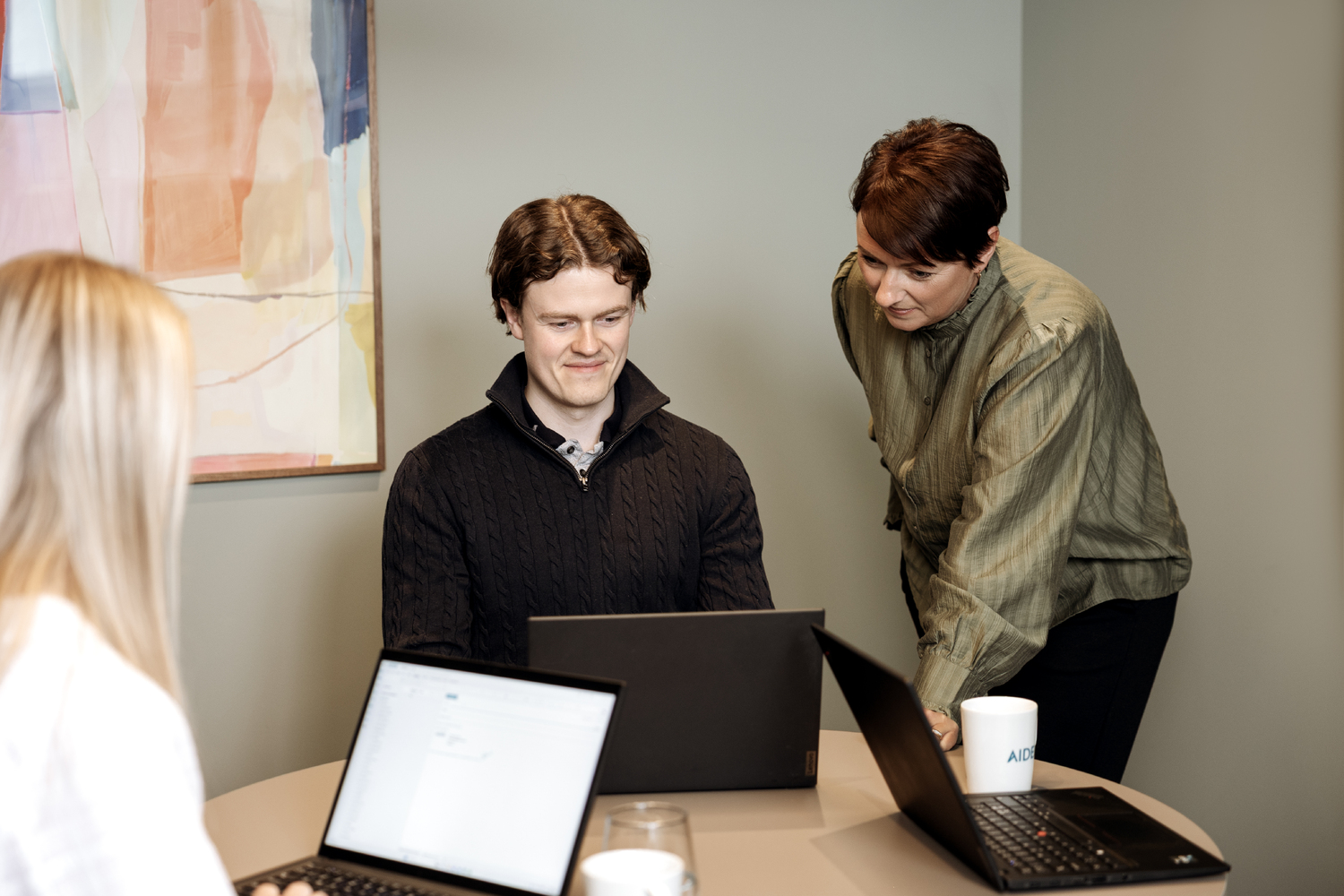 AIDER_STJØRDAL-06-1