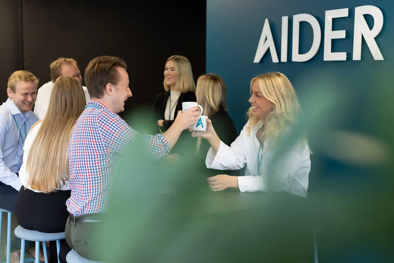 Aider i Bergen 010