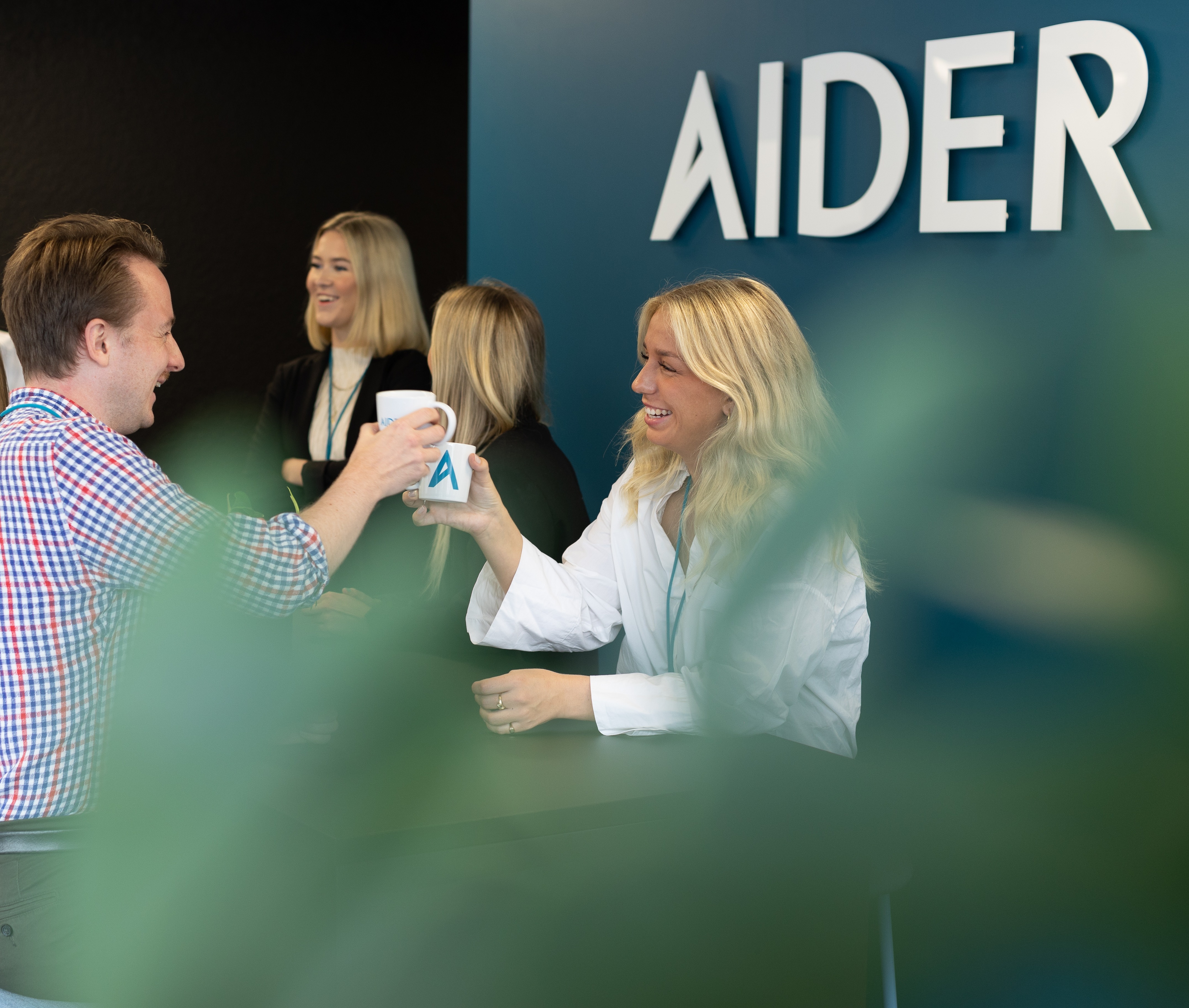 Aider i Bergen 010-1