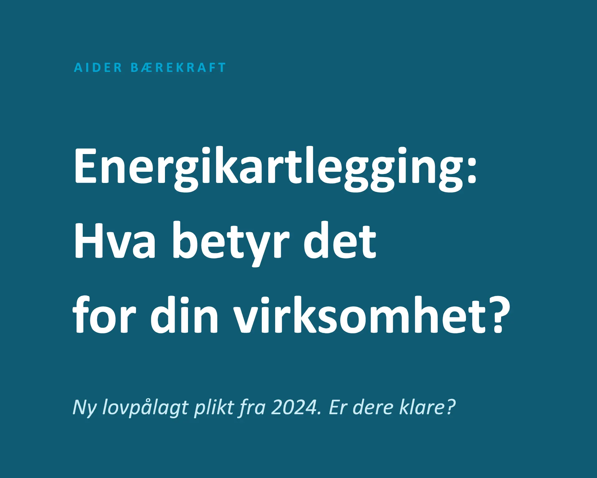 energikartlegging lead magnet mini